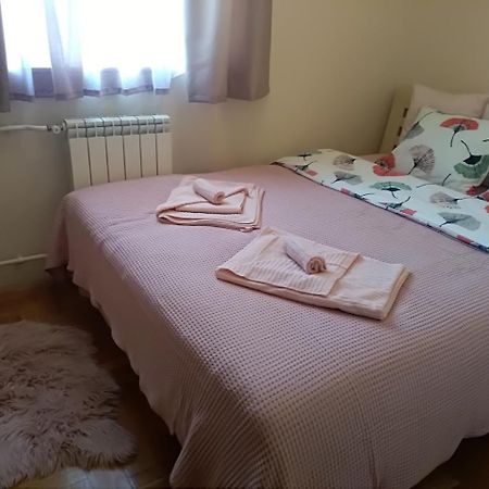 Apartman Nina Vojvode Stepe Vozdovac Voždivac Eksteriør billede