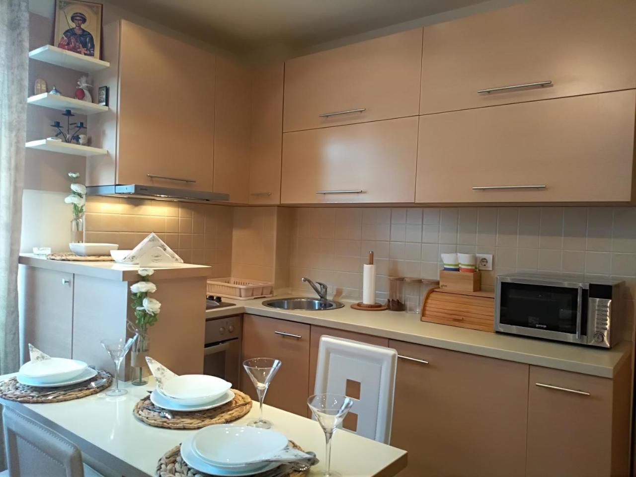 Apartman Nina Vojvode Stepe Vozdovac Voždivac Eksteriør billede