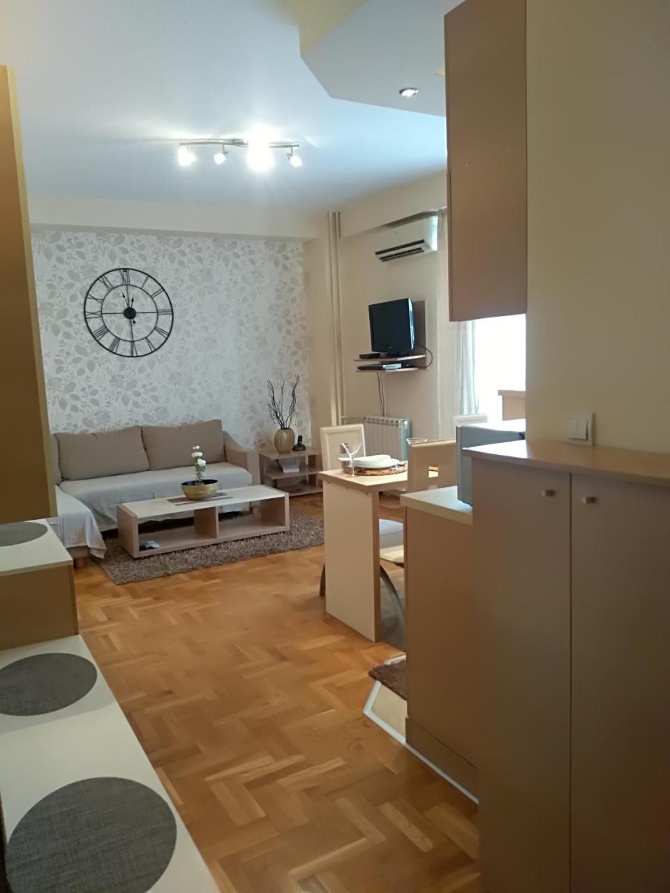 Apartman Nina Vojvode Stepe Vozdovac Voždivac Eksteriør billede